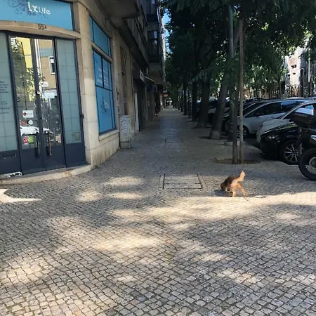 Dormeaqui ליסבון